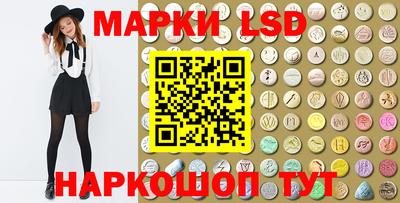 гидропоника Пенза