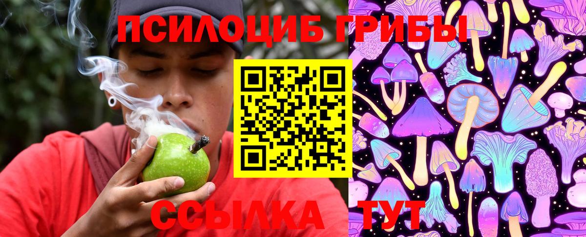 купить  цена  Галлюциногенные грибы MAGIC MUSHROOMS  Псилоцибиновые грибы мицелий  Вход с VPN  Партизанск 